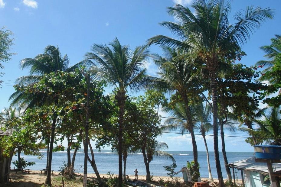 Апартаменты Concha Tropical Flat Итакаре Экстерьер фото