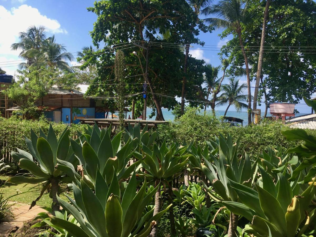 Апартаменты Concha Tropical Flat Итакаре Экстерьер фото